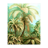 Vintage Tropical | Jungle Botanical Nature Banana Tree | Bohemian Plants Trees Forest (Print Only) thumbnail