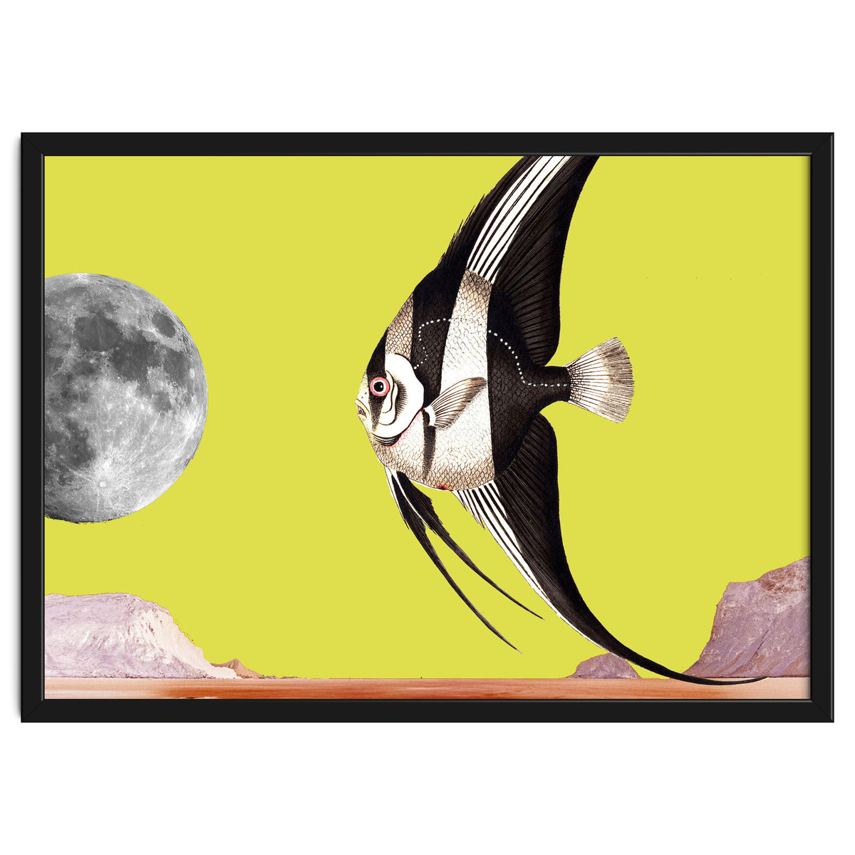 Plenty of fish in the sea yellow