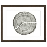 Rock Canyon, Tree Ring Print, Woodblock