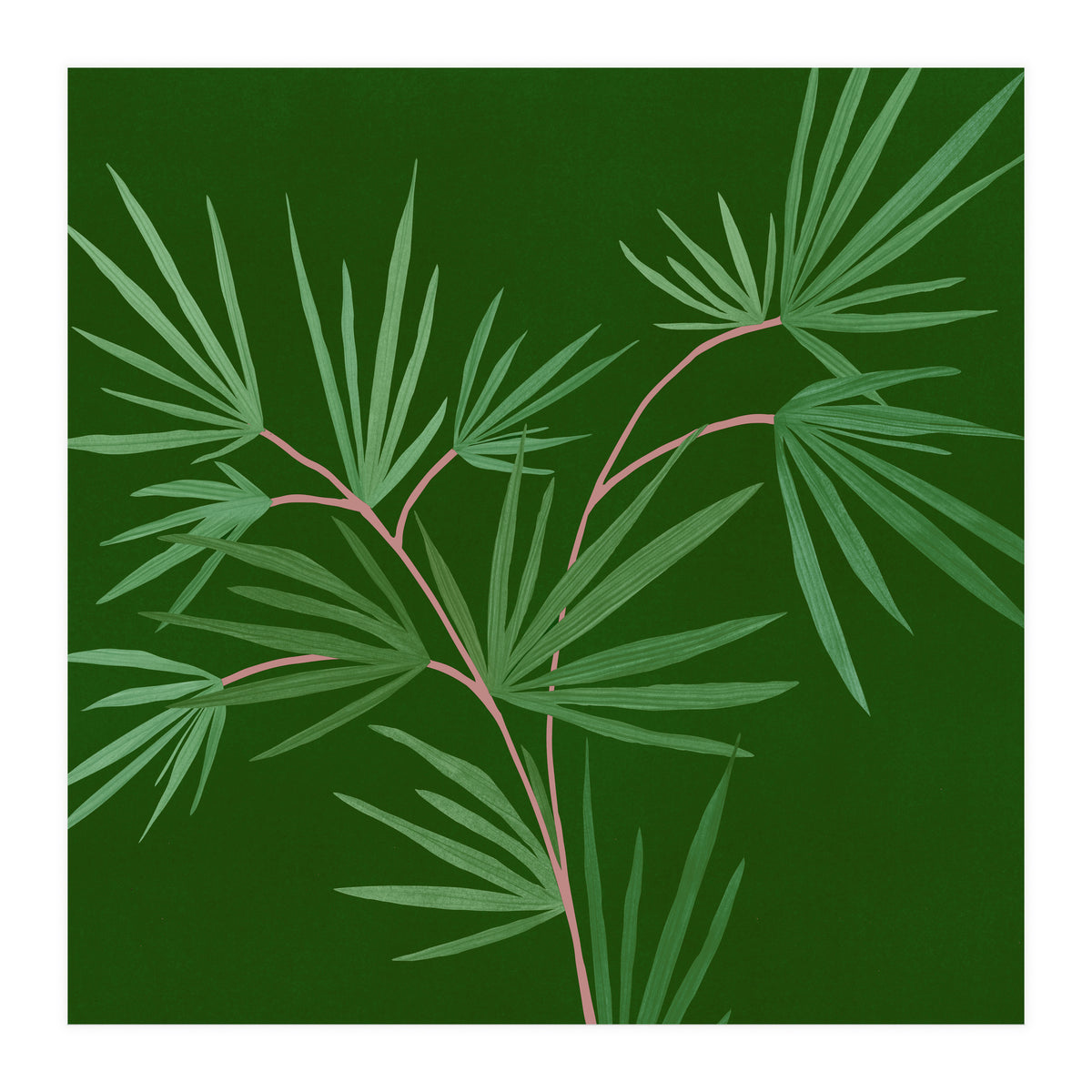 Abstract Palm (Print Only)