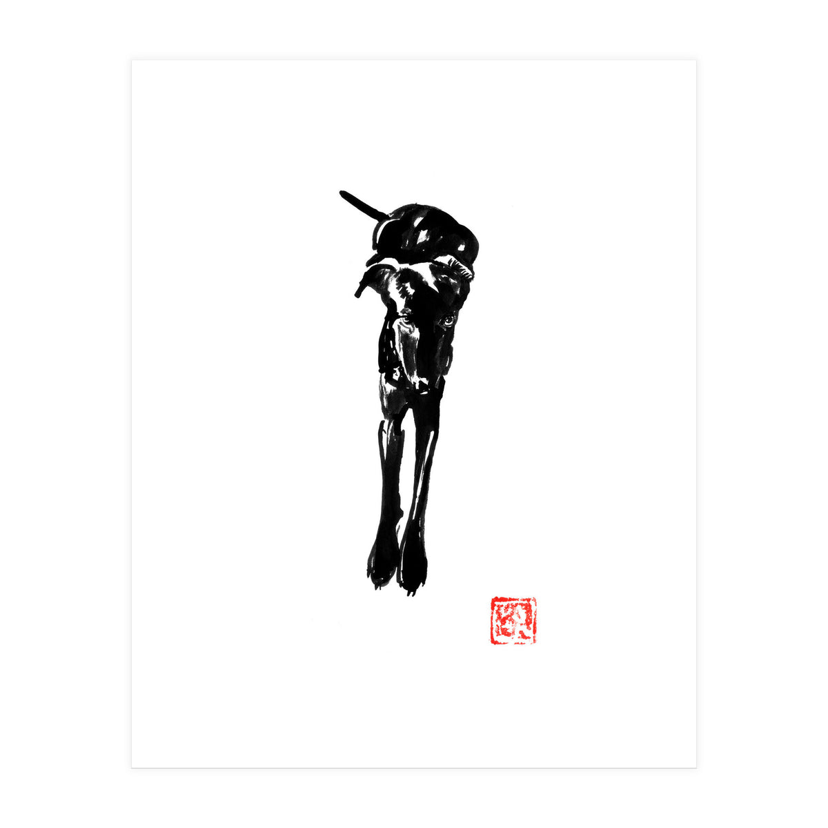 Balck Dog 02  (Print Only)