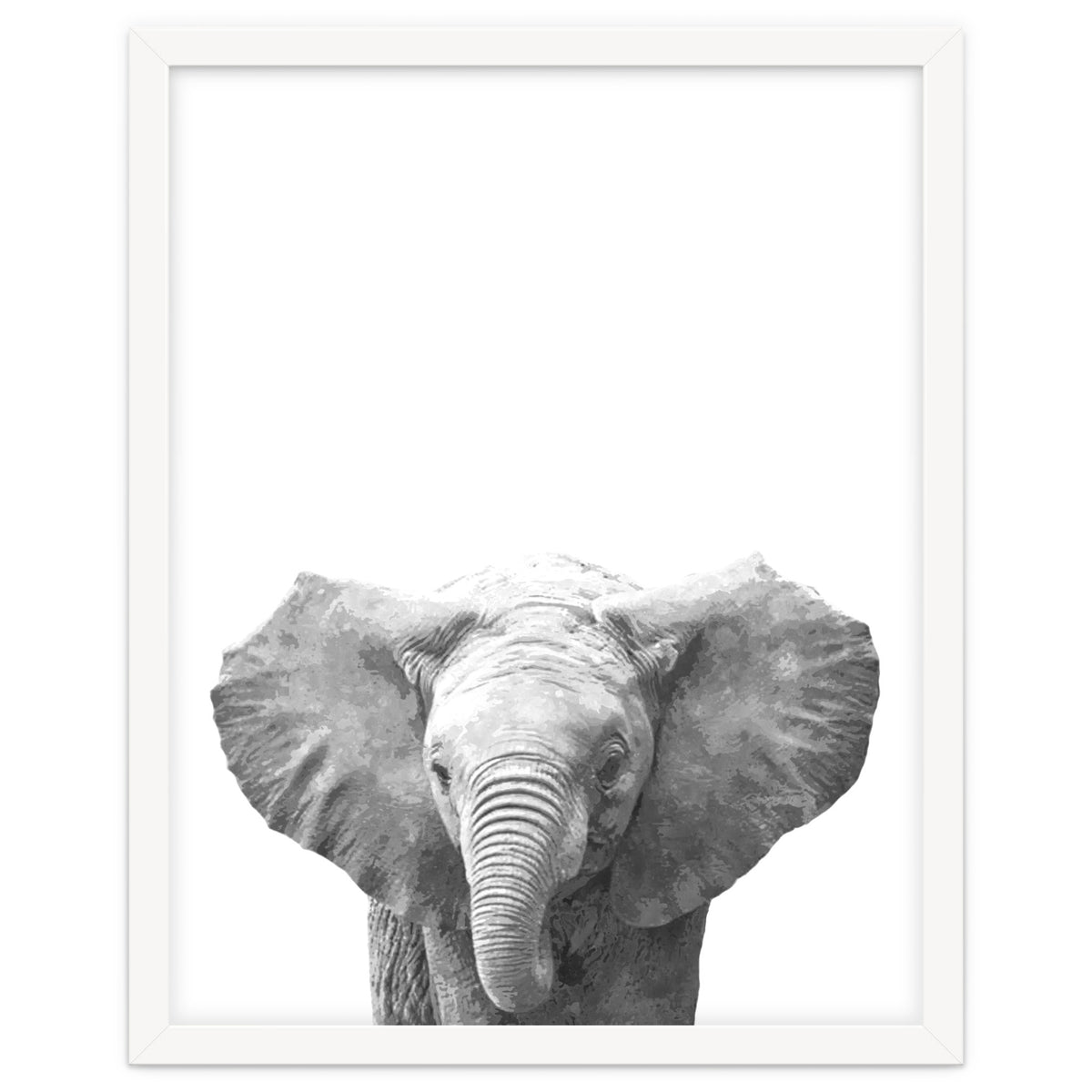 Black and White Baby Elephant