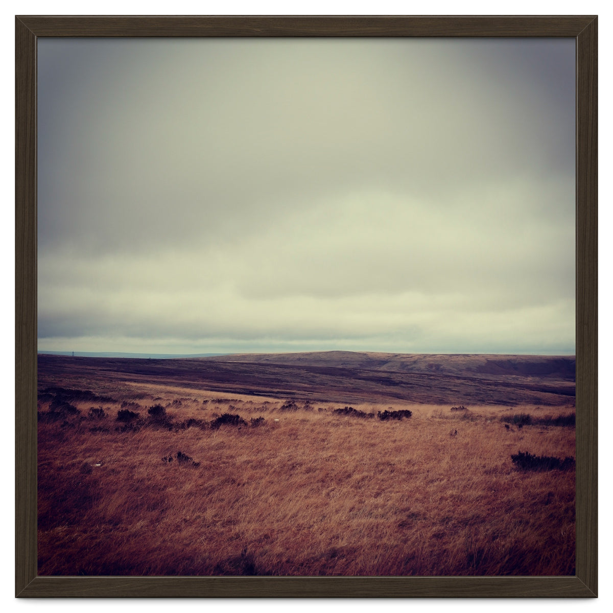 Bleak winter landscape of Saddleworth Moor