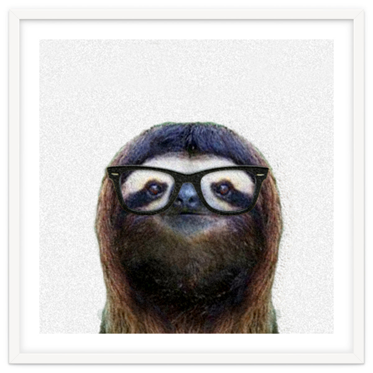 Geek Sloth