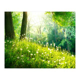 Nature (Print Only) thumbnail