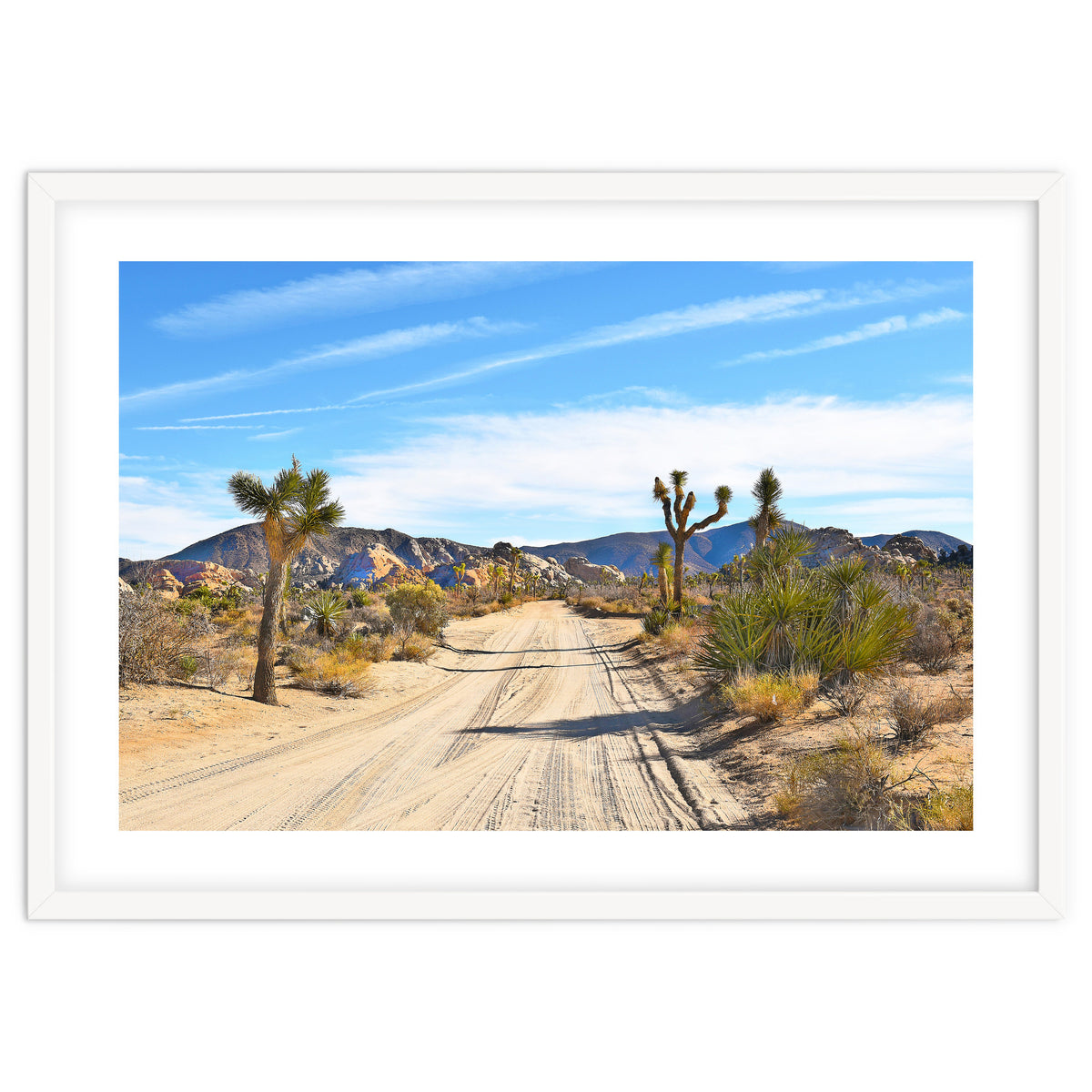 Joshua Tree II