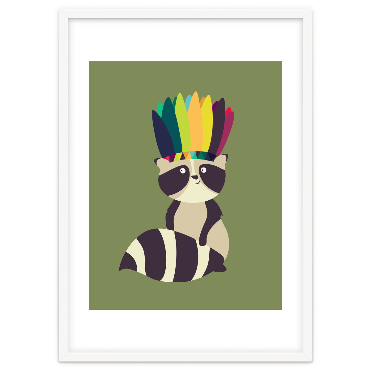 Indian Raccoon