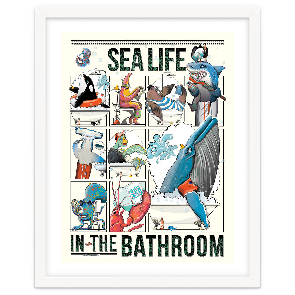 Sea Life in the Bathroom
