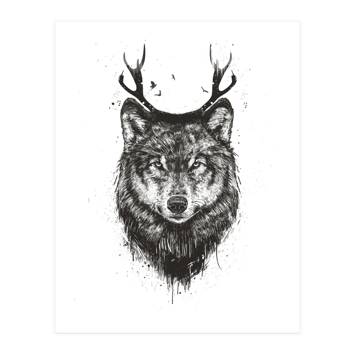 Deer Wolf Bw (Print Only)