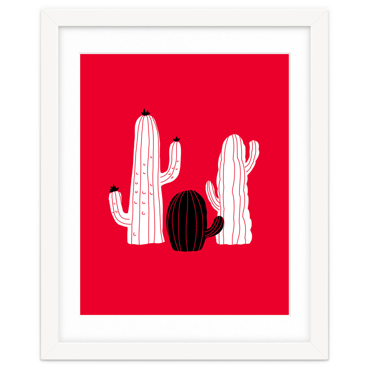 Cactus