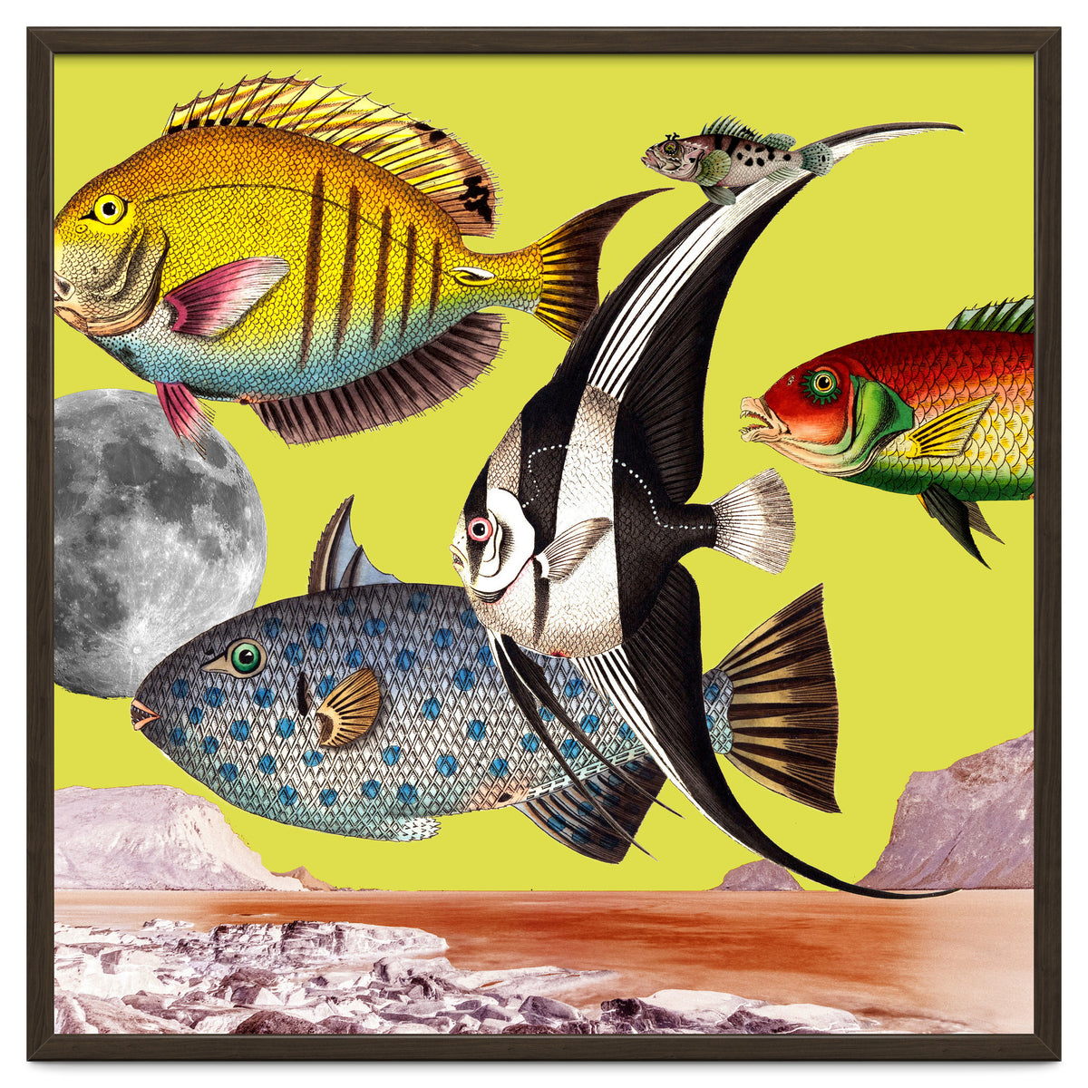 Plenty Of Fish In The Sea Yellow