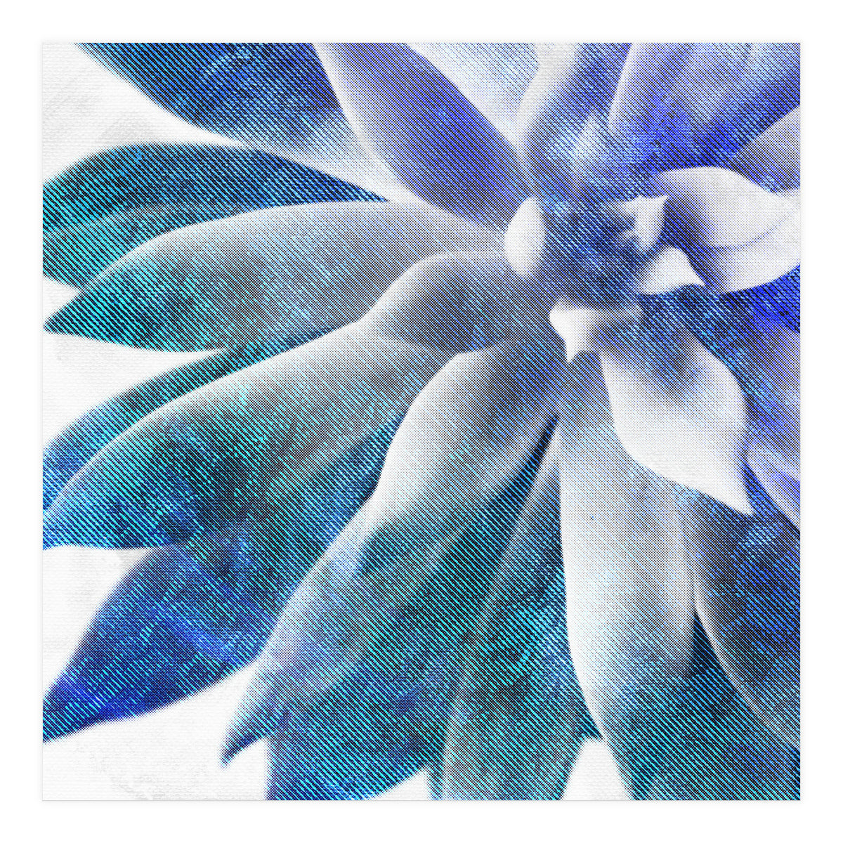 Rough Beauty 3 (Print Only)