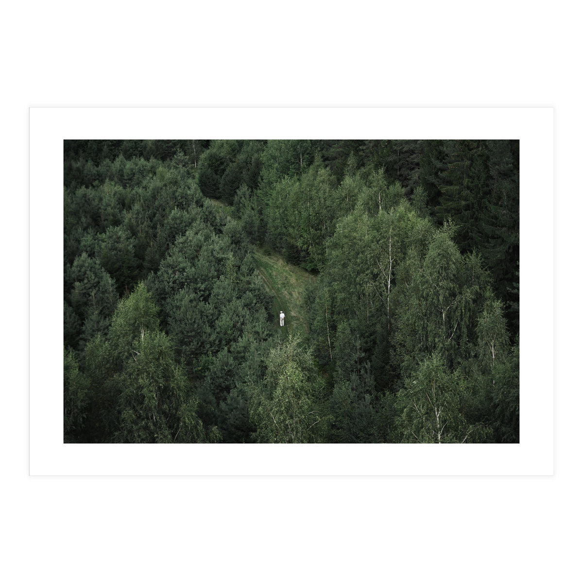 What's the Date Today? (Print Only)