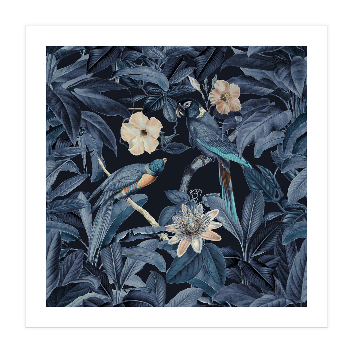 Exotic Jungle Birds At Night (Print Only)