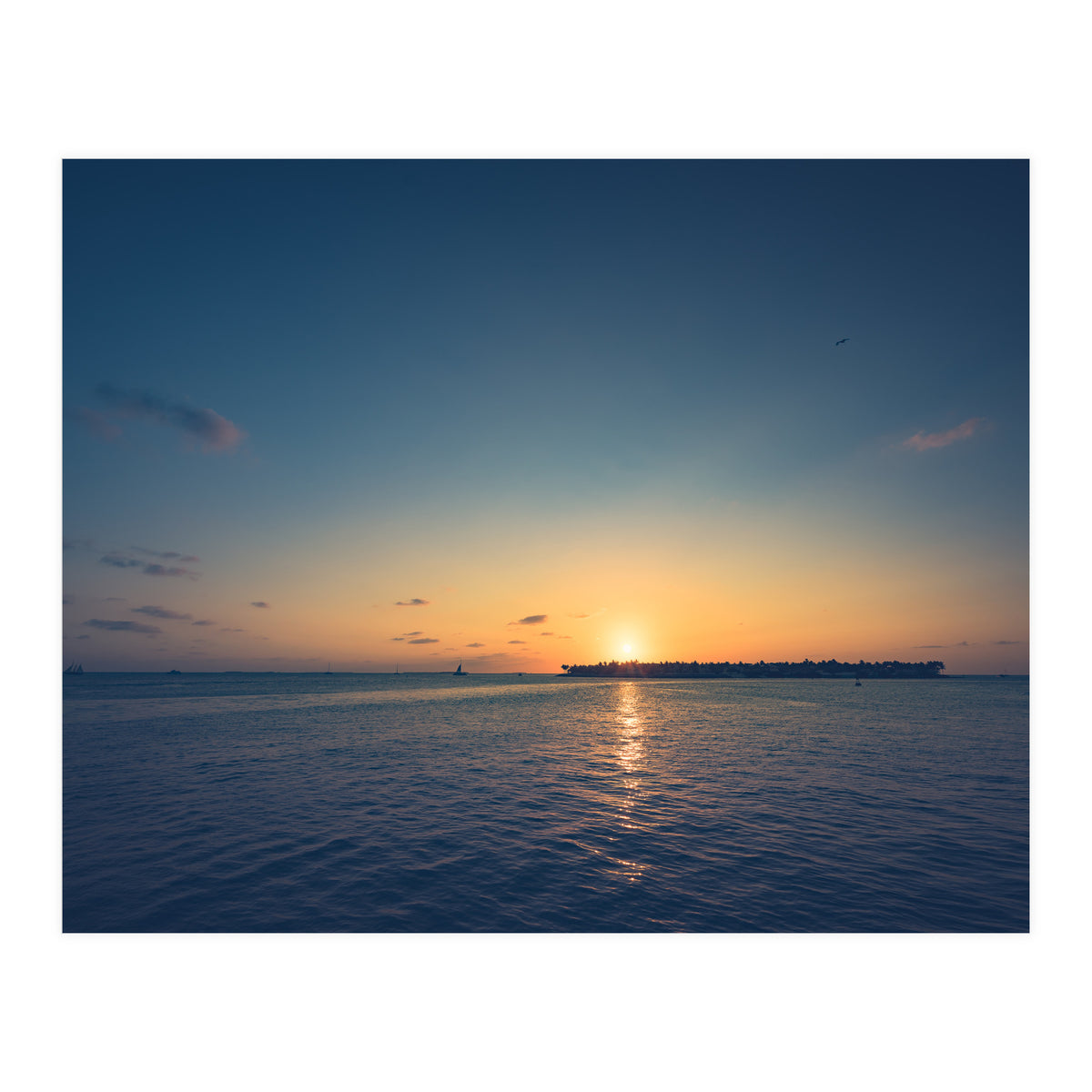 B'dazzled Blue (Print Only)