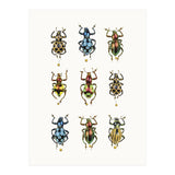 Cc Insects 05 (Print Only) thumbnail