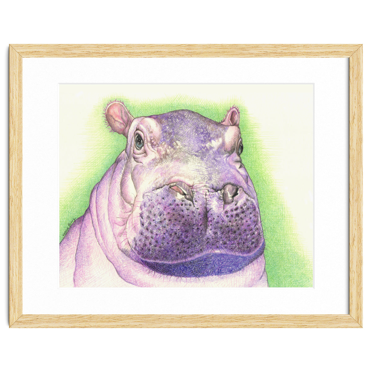Purple Hippo