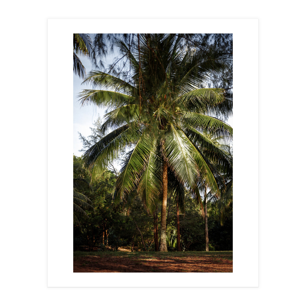 Vacation Postcard (Print Only)