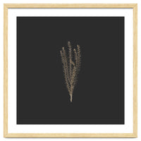 Delicate Fynbos Botanicals in Gold and Black - Square