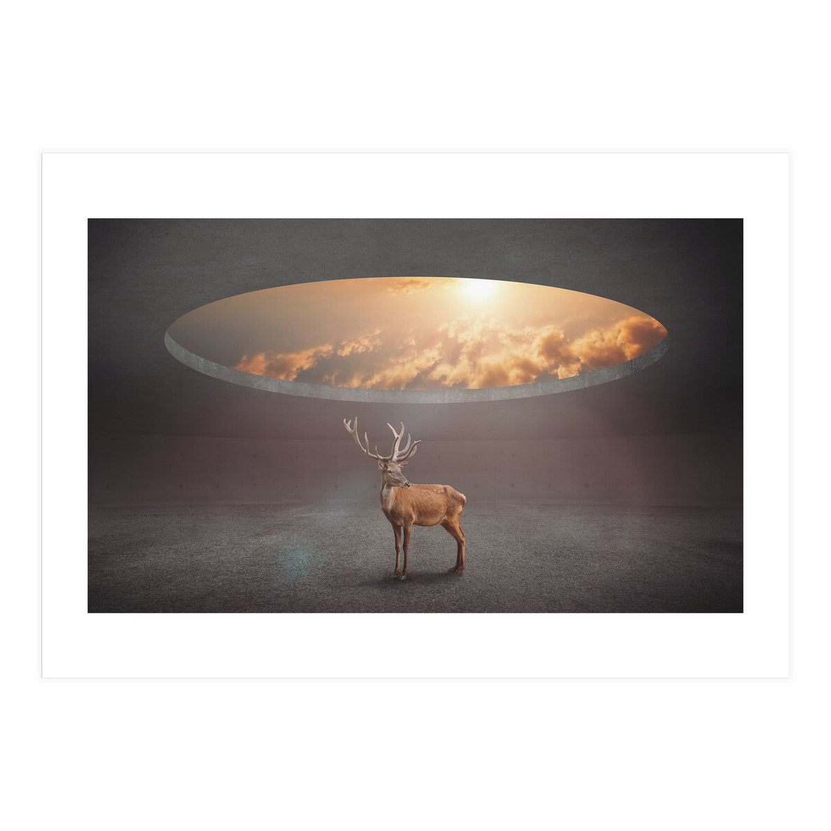 Display Ring (Print Only)