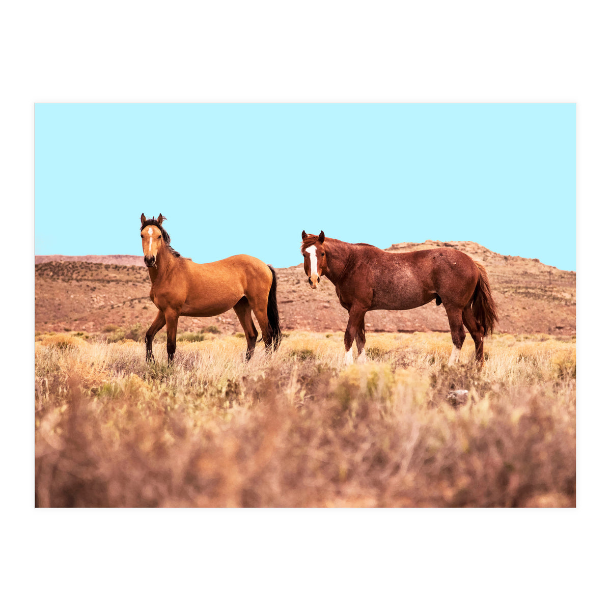 Horses #society6 #decor #buyart (Print Only)