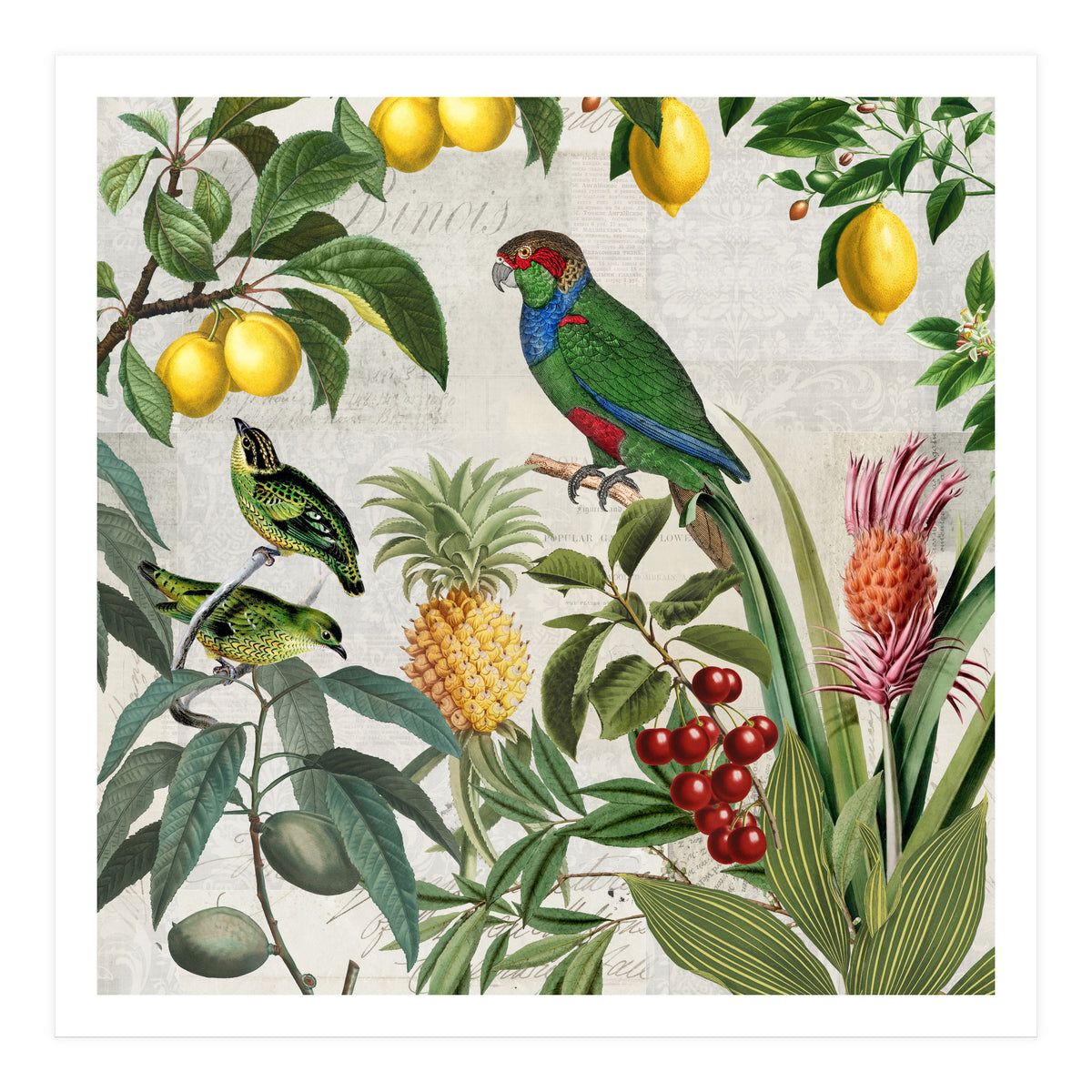 Fruit Paradise (Print Only)