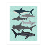 Sharks (Print Only) thumbnail