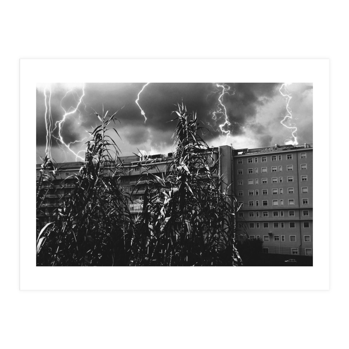 Thunderstorm in Tivoli (Print Only)