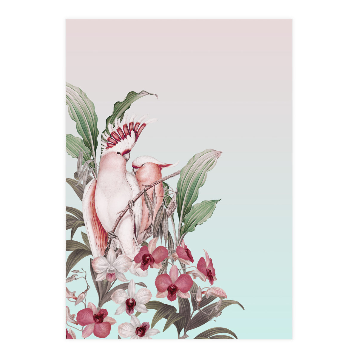 Pastel Cockatoos Paradise (Print Only)