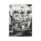 Yuen Po (Print Only) thumbnail