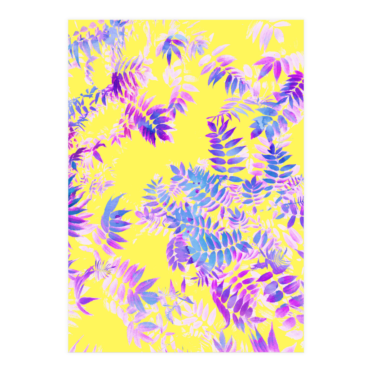 Vibrance (Print Only)