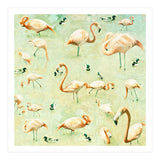 Flamingos (Print Only) thumbnail
