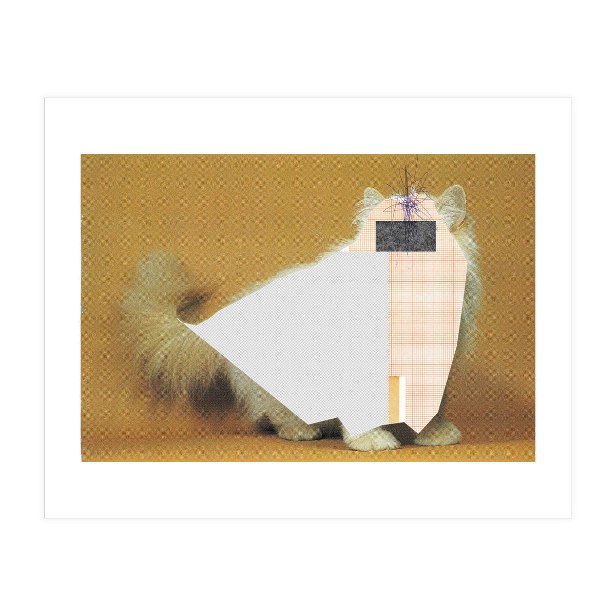 Content Of The Cat 1 (Print Only)