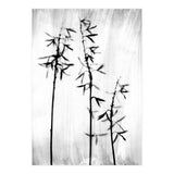 Hosta 3 (Print Only) thumbnail