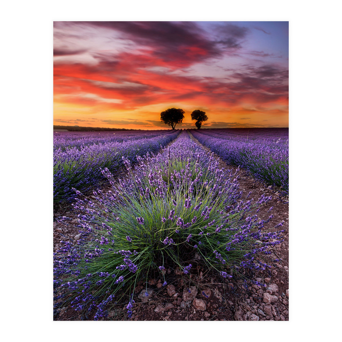 A Place To Dream (Print Only)