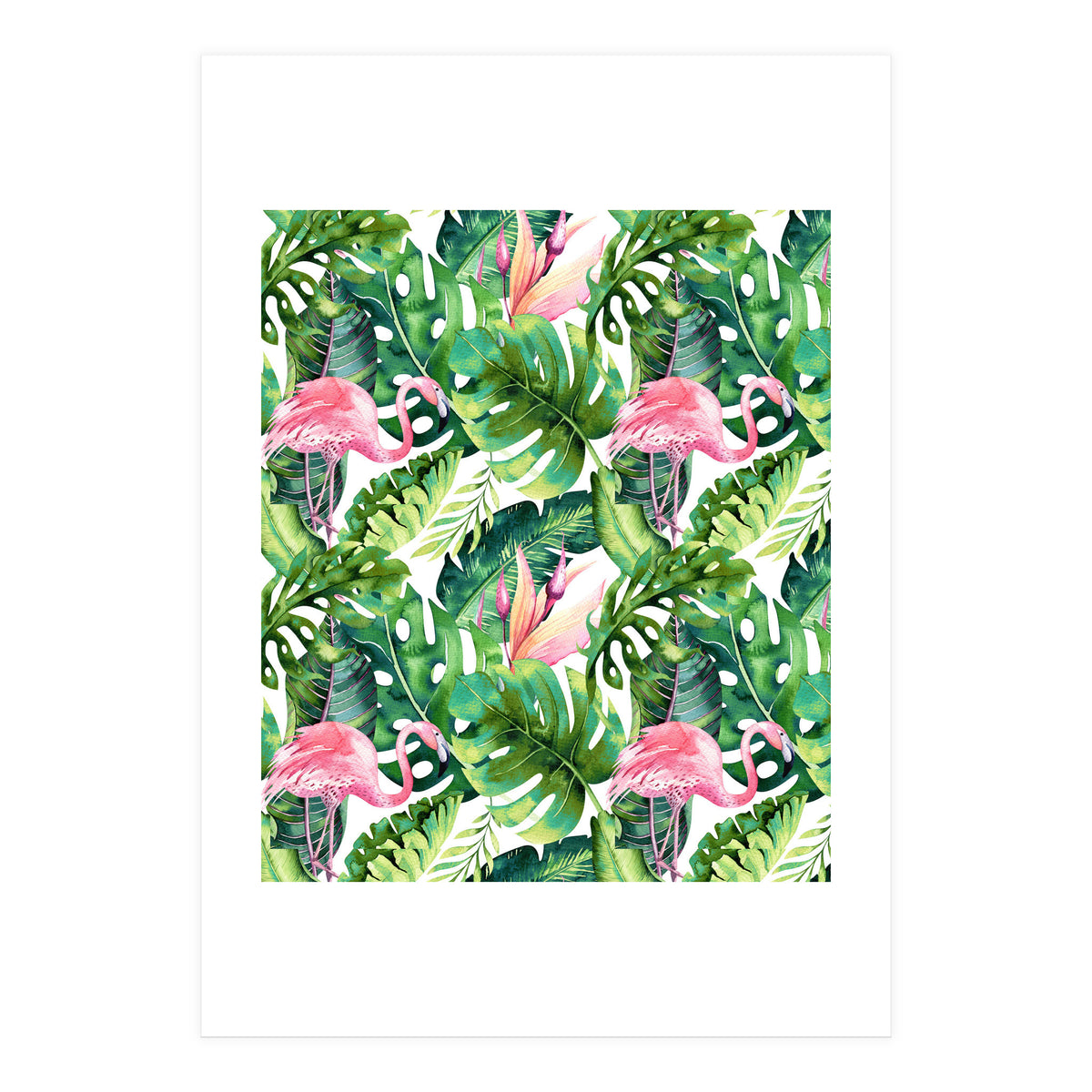 Flamingo Tropical II (Print Only)