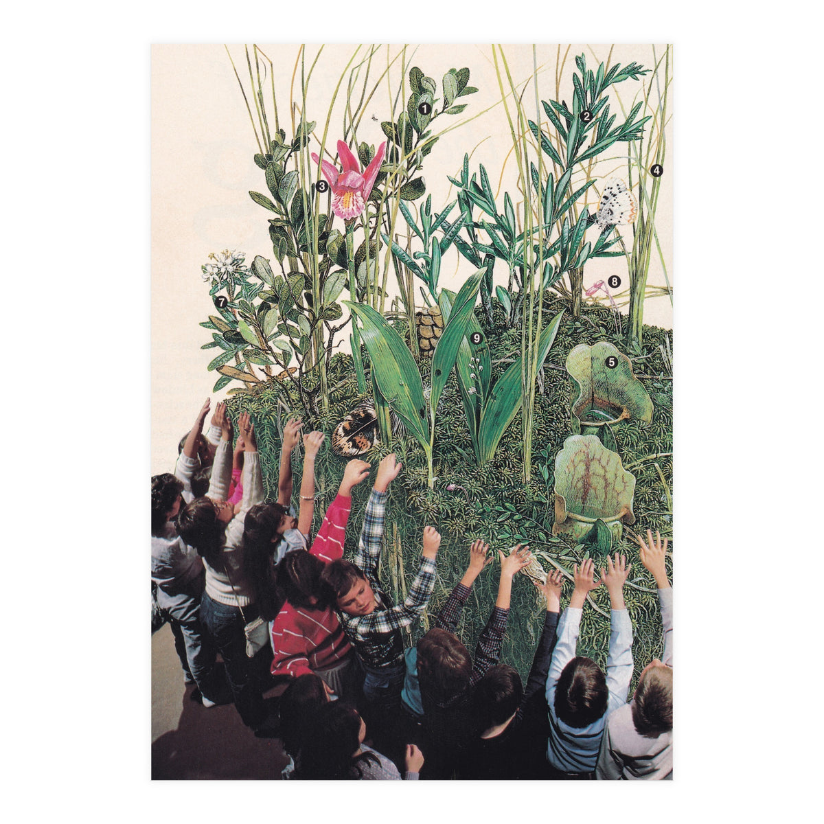 Grow Up (Print Only)