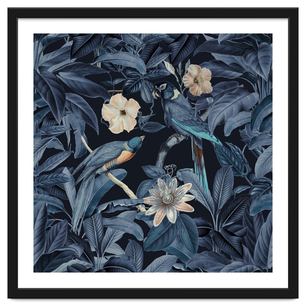 Exotic Jungle Birds At Night