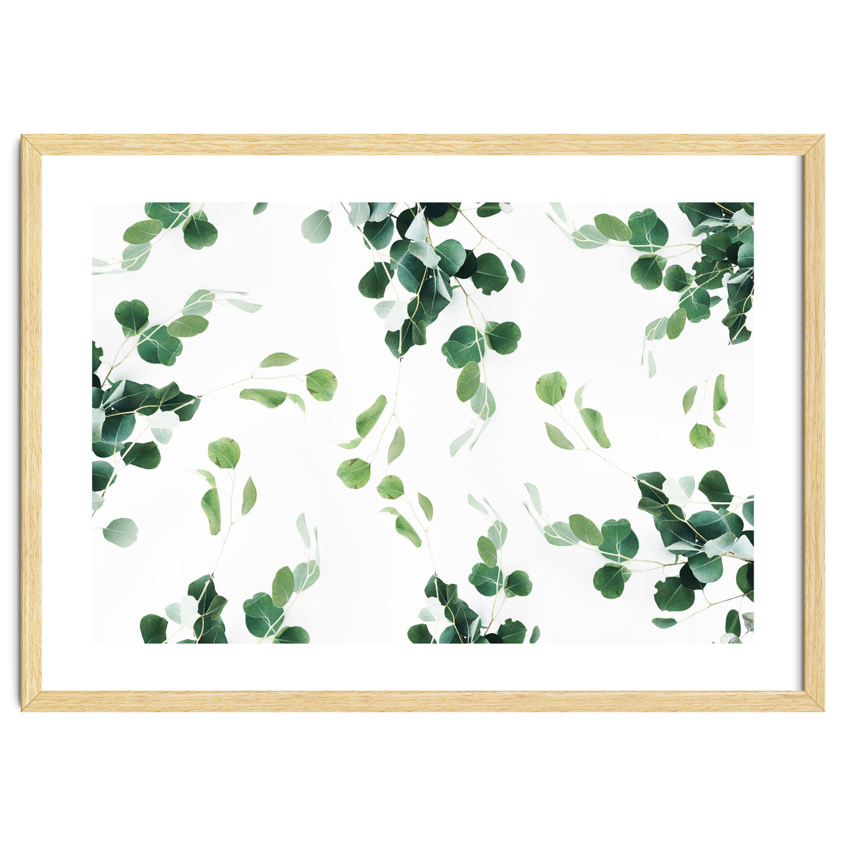 Botanical Celebration