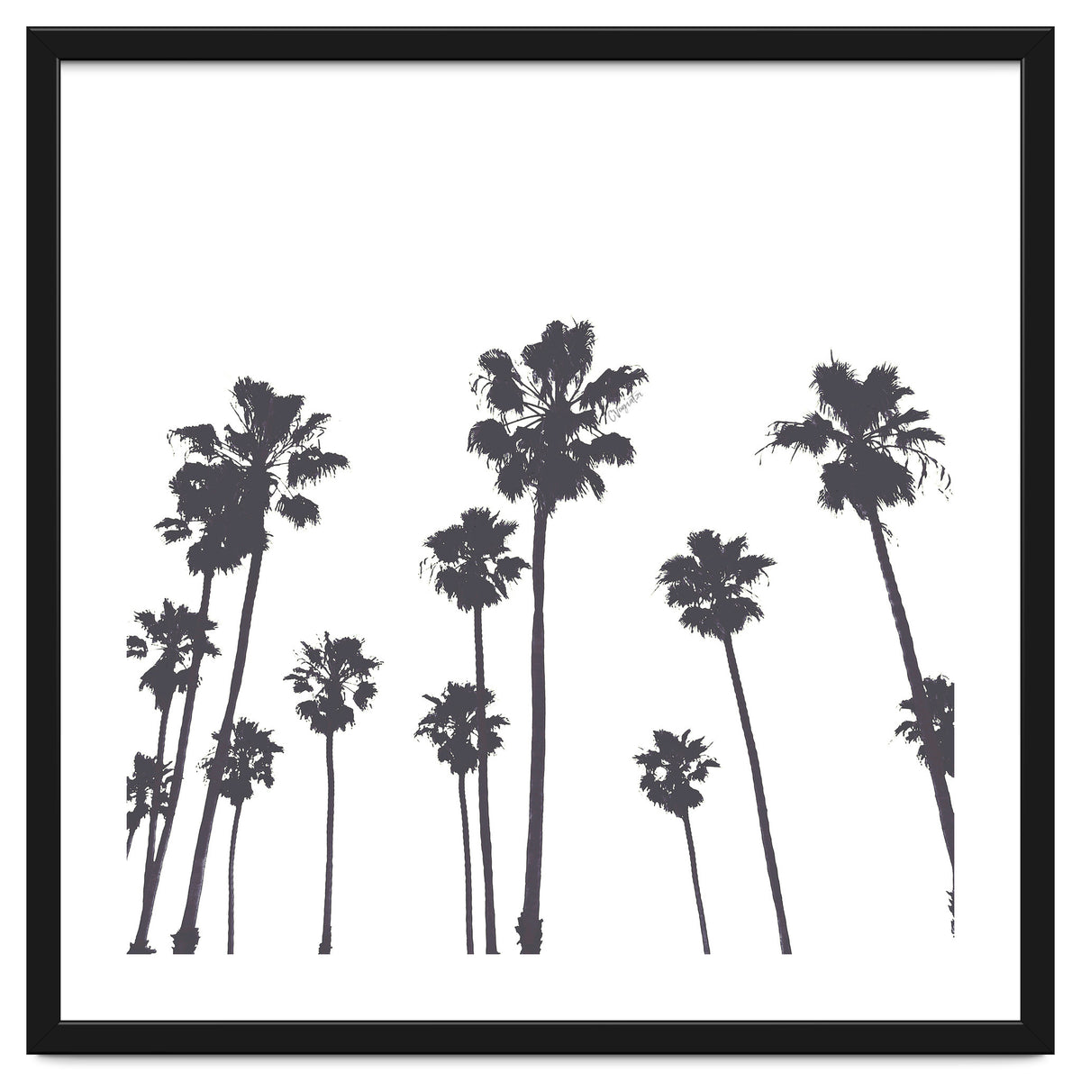 Palms & Sunset-Minimal B&W