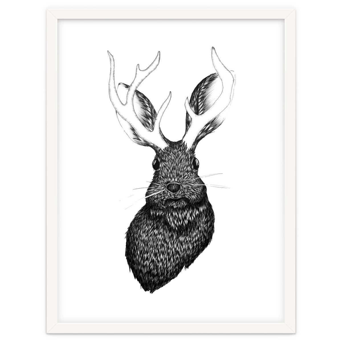 Jackalope