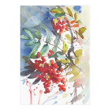 Viburnum / Guelder rose (Print Only) thumbnail