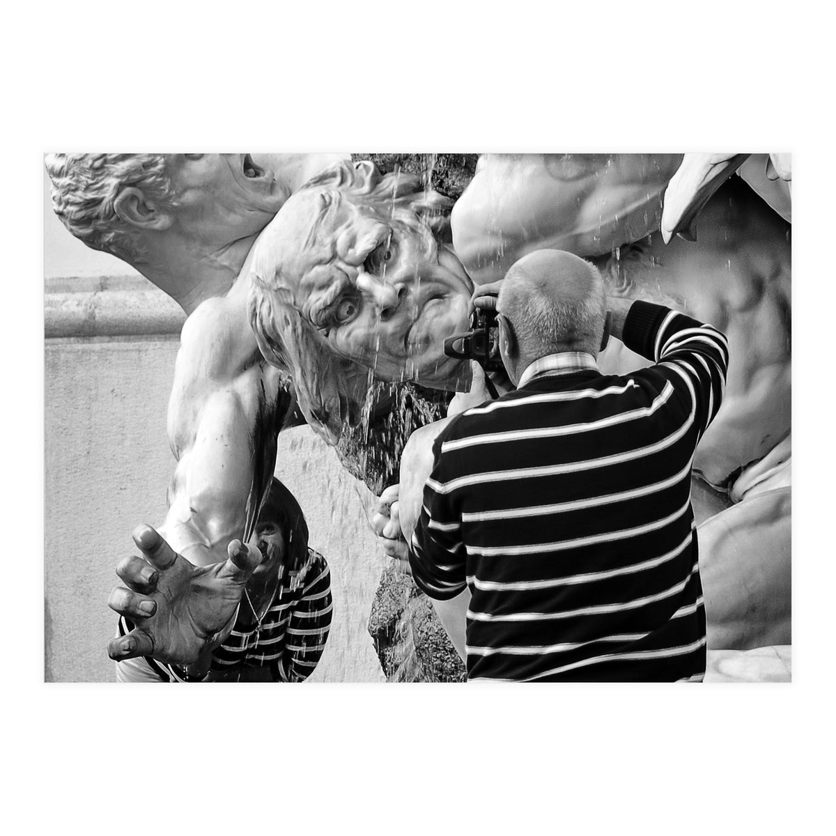 Snapshot (Print Only)