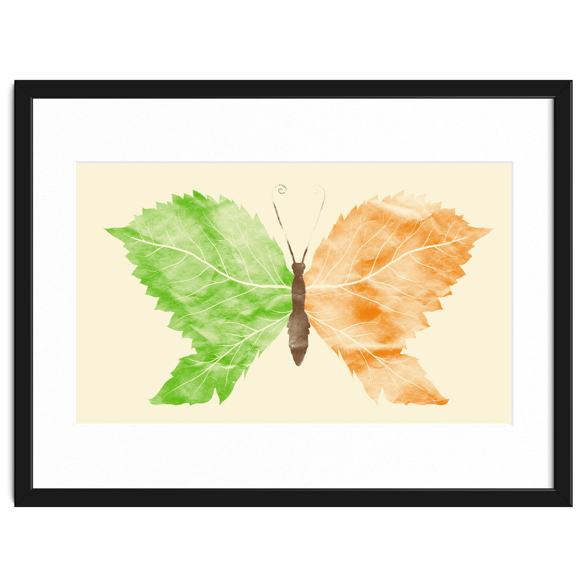 Seasons Change Time Flies