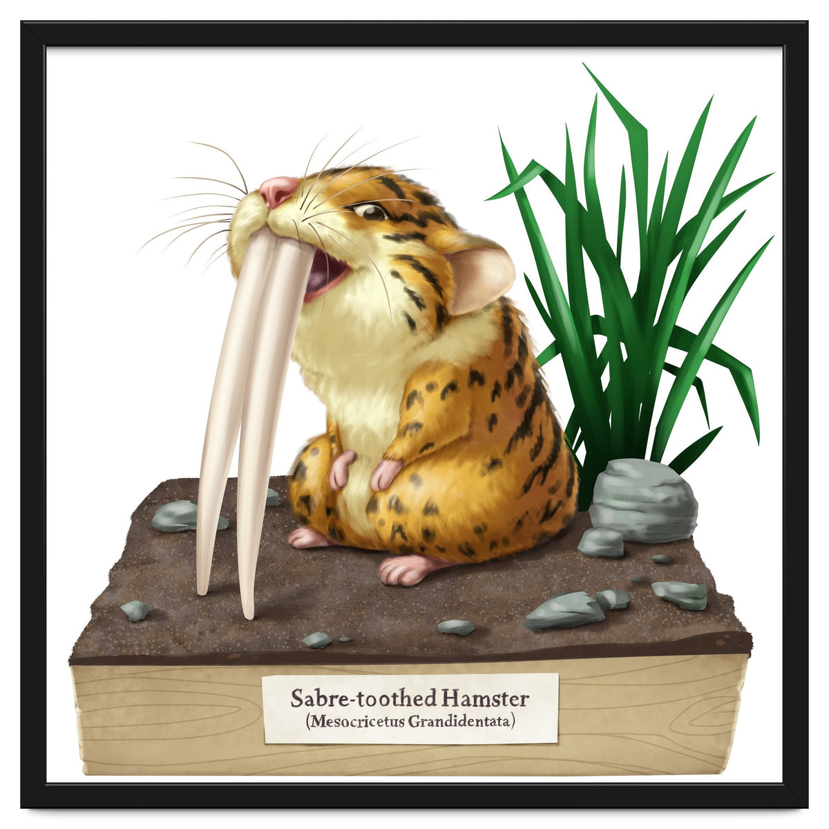 Saber-toothed Hamster