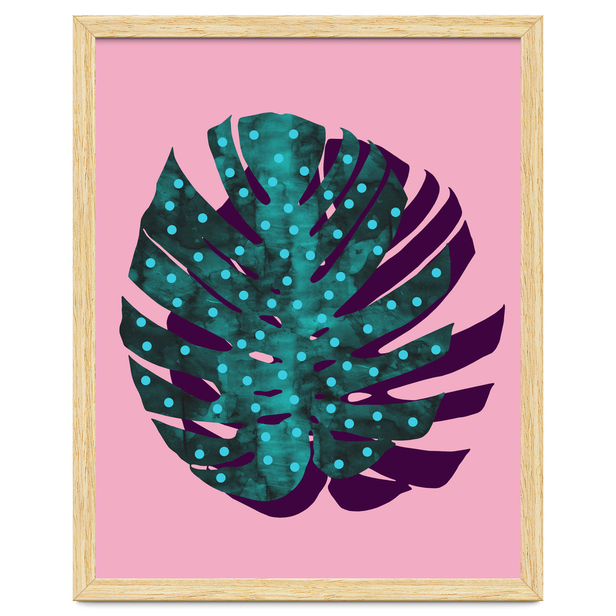 Monstera Deliciosa II