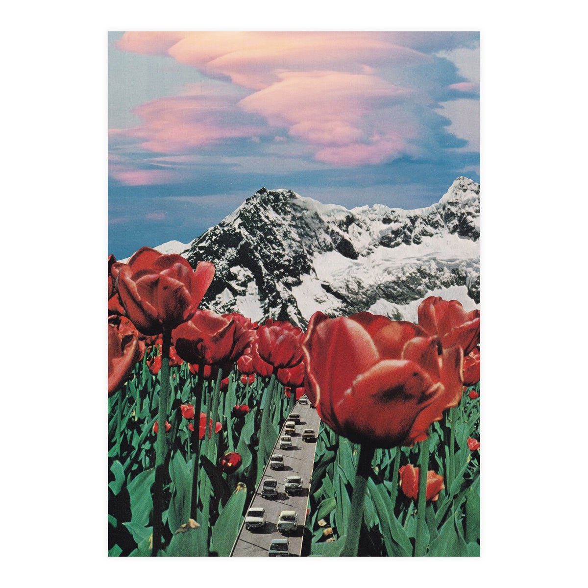 Tulip Road (Print Only)