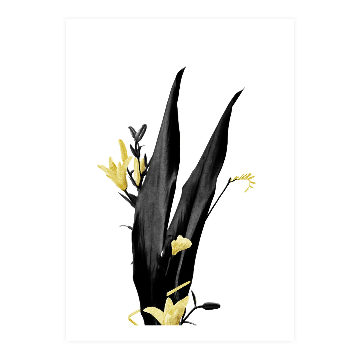 Flower Minimal Black And Gold 03 (Print Only)