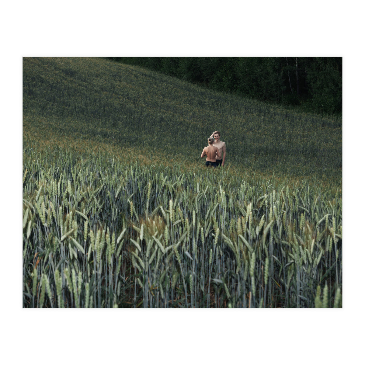 Logical Fallacy (Print Only)