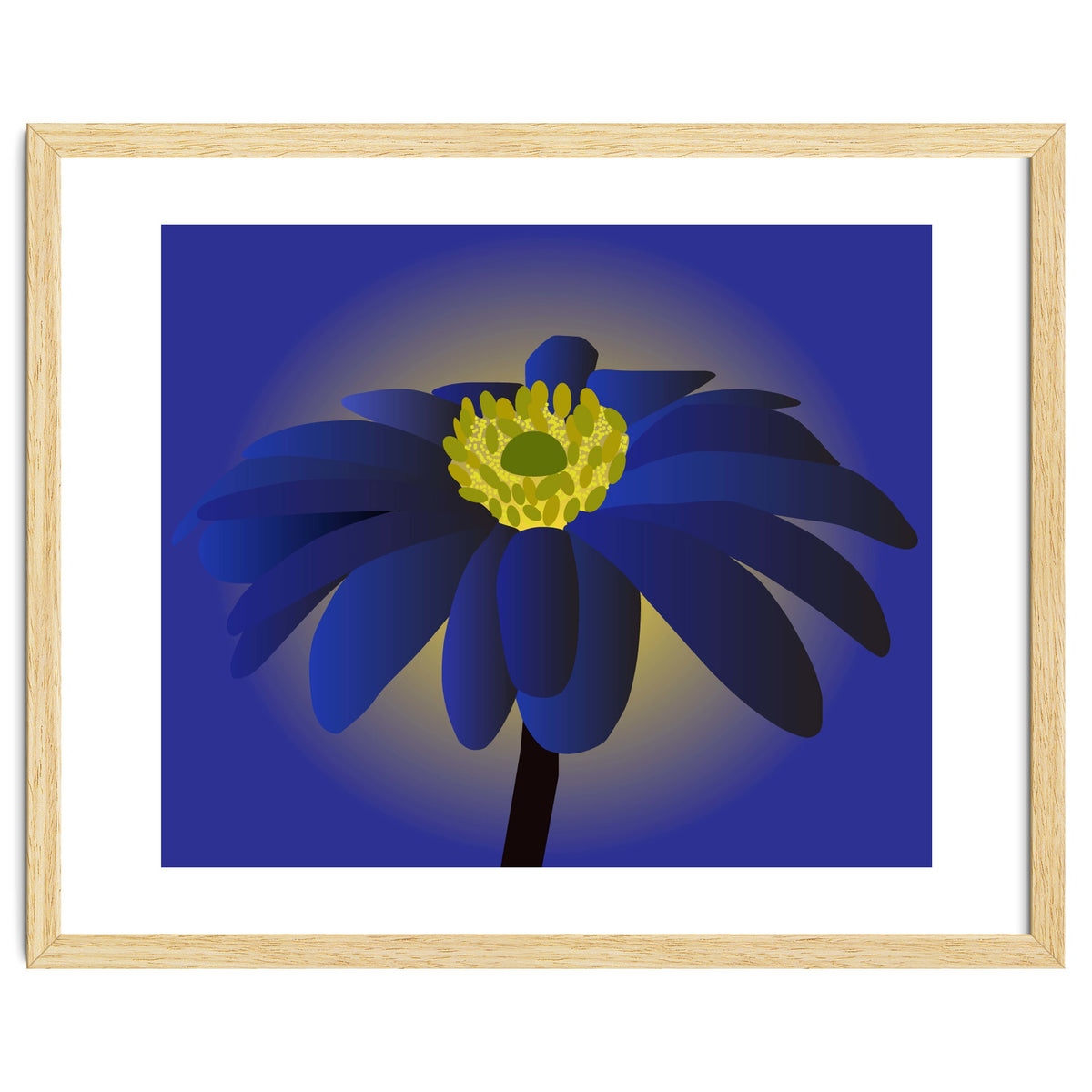 Anemone Blanda Flower Art
